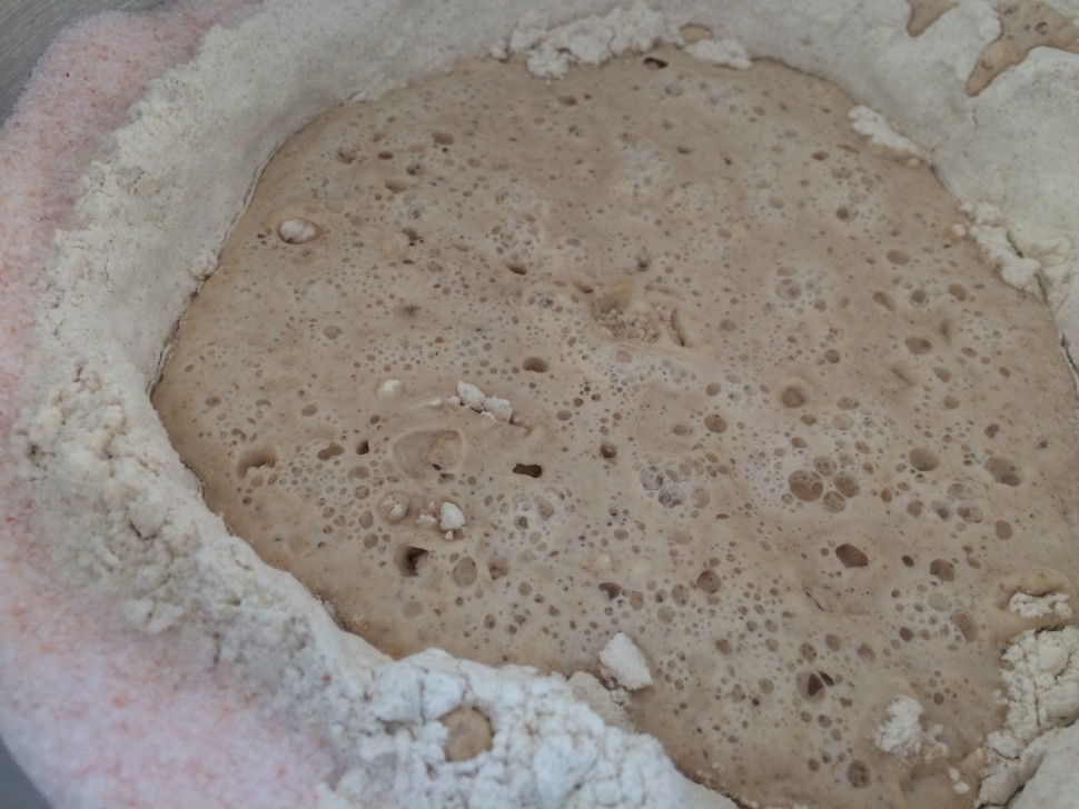 Urner Brot - Urner Halberli